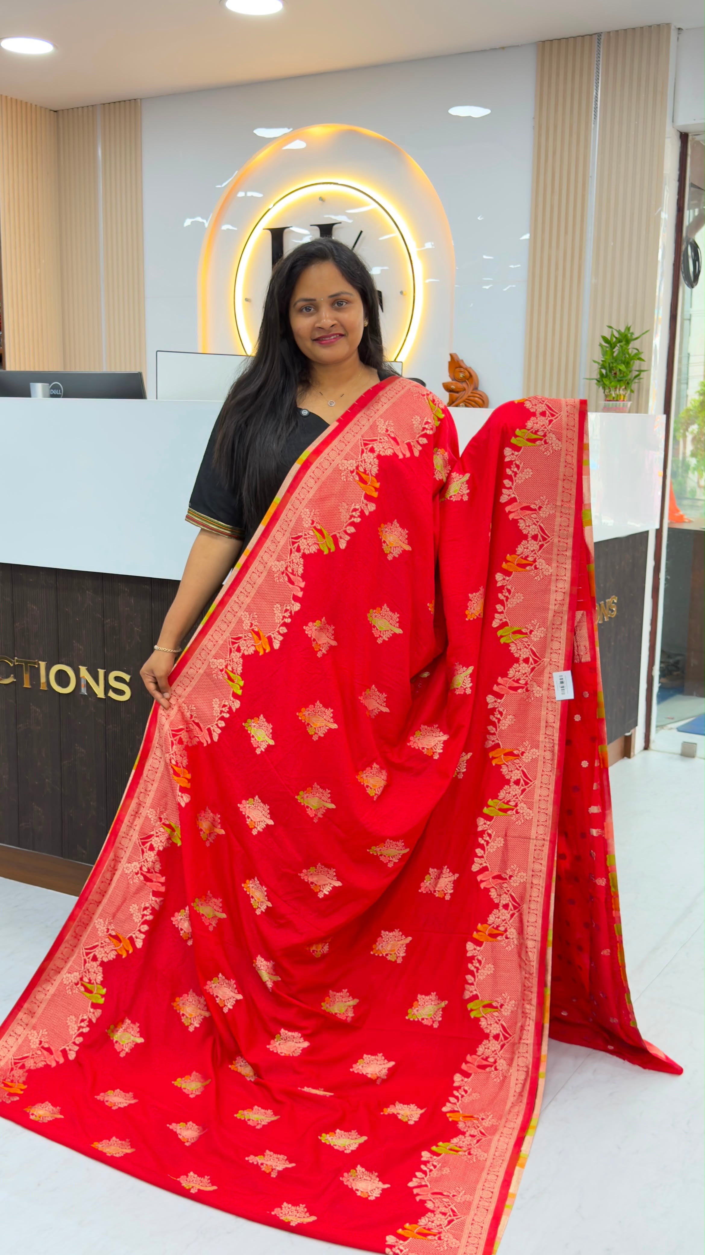Banarasi Georgette with Meenakari design