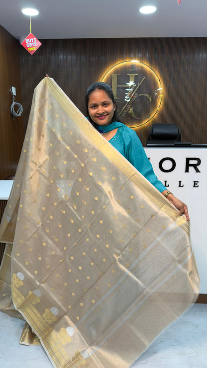 Gold tissue saree