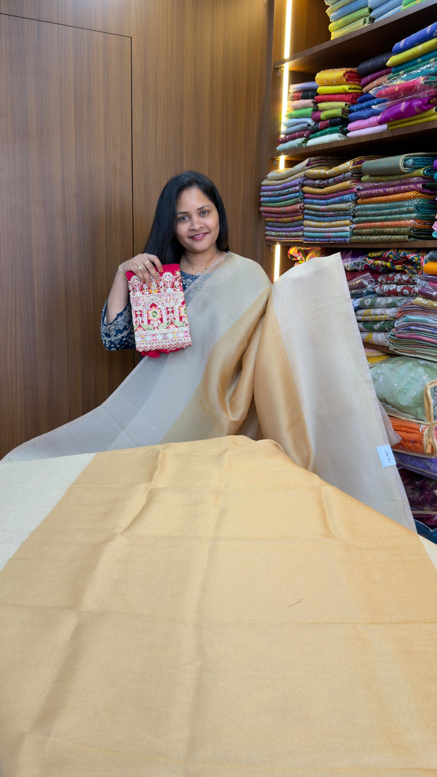 Gold &amp; Silver soft tissue saree with embroidery work blouse