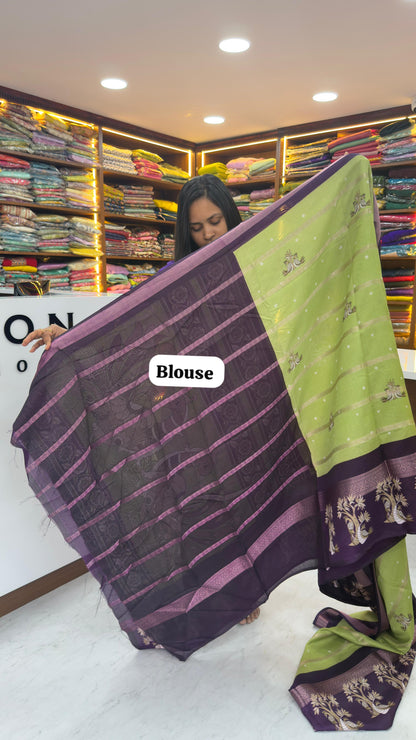 Pista green Violet saree