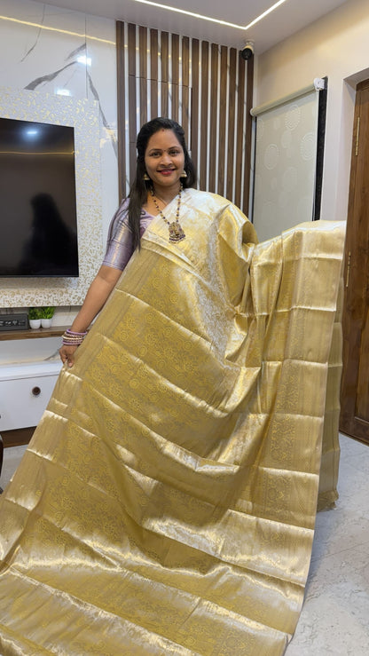 Pastel Semi Pattu sarees