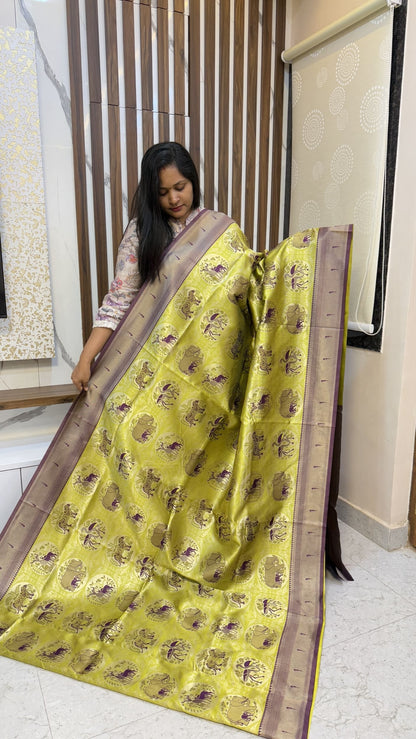 Jungle Theme Sarees
